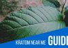 Where To Buy Kratom Near Me For Sale? kratom near me guide