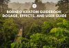 Borneo Kratom Dosage, Effects, and User Guide Borneo Kratom