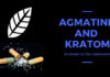 Agmatine And Kratom: Do People Try This Combination Agmatine And Kratom