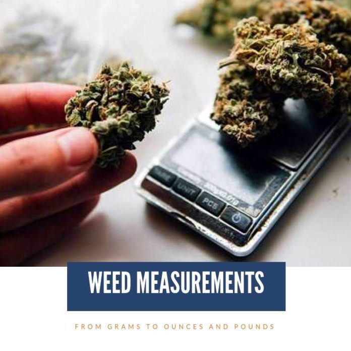 weed measurements