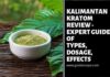 Kalimantan Kratom Review – Expert Guide Of Types, Dosage, Effects Kalimantan Kratom