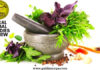 SoCal Herbal Remedies Review And Guide About Excellent Services SoCal Herbal Remedies