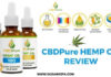 CBDPure Review: We Tried & Tested It CBDPure