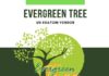 Evergreen Tree Kratom Review – From Nevada Evergreen Tree Kratom