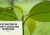 Best Kratom for Anxiety, Stress, and Depression Best Kratom for anxiety, stress and depression