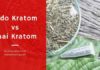 White Indo Kratom Vs White Thai Kratom Indo Kratom vs Thai Kratom