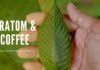 Kratom And Coffee: Should You Mix Together or Avoid Kratom & Coffee