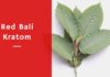 Why is Red Bali Kratom is So Special and Popular? Red Bali Kratom