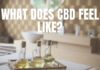 What Does CBD Feel Like? What Does CBD Feel Like