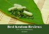 Kratom Reviews 2024: Top 3 Recommended Best Kratom Reviews