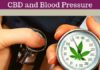 CBD and your Blood Pressure CBD and Blood Pressure