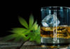 Can I Take CBD While Drinking? CBD and Drinking