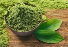 What’s The Reason Behind Matcha Powder’s Popularity? Matcha Powder