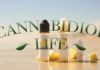Cannabidiol Life Brand Review Cannabidiol Life
