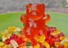 Amazing Facts About Tasty Gummy Bears You Should Know Gummy Bears