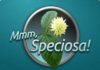 MMM Speciosa Review MMM-Speciosa-Review