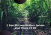 5 Best Places To Buy Borneo Kratom Online 2024 Borneo Kratom Vendors