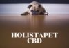 HolistaPet CBD Review – Products, Costs, & Dosages For Pets HolistaPet CBD