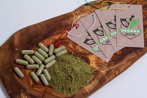 Organa Kratom Review: What’s So Special About This Brand?