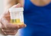 How Can I Use Synthetic Urine To Pass A Drug Test? Is It Legal? Synthetic Urine Drug Test