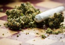 Can You Smoke Hemp? How Does Smoking Hemp Work? Smoke Hemp