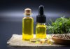 Can Omega-3 Potentiate The Effects Of CBD Oil? Omega-3 & CBD Oil