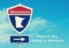 20 Top Kratom in Minnesota: Legality And Buying Options Kratom in Minnesota
