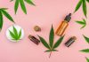 Hemp Futures Review – Hand-Grown CBD Products For Sale Hemp Futures