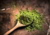 The Science Behind Kratom And Its Effects Kratom Effects
