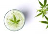 Top 10 Cannabis Beverages on the Market Right Now Cannabis Beverages