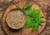 How To Determine The Quality of Hemp Seeds? Hemp Seeds
