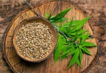 How To Determine The Quality of Hemp Seeds? Hemp Seeds