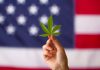 Which States Are Most Likely to Legalize Weed Next? Legalize Weed