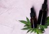 What Is THC-Free CBD Oil? THC-Free CBD Oil