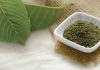 What is Hirsuta? Can I Use It As A Kratom Alternative? Hirsuta kratom