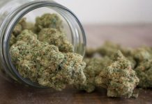 Delta-10 THC: What It Is And How To Synthesize It? Delta-10 THC