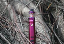 Disposable Vapes – Pros & Cons Disposable Vapes