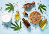 A Market Guide To Choosing A Reliable CBD Supplier Reliable CBD Supplier