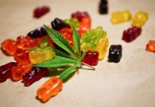 What to Look Out for in CBD Gummies? CBD Gummies